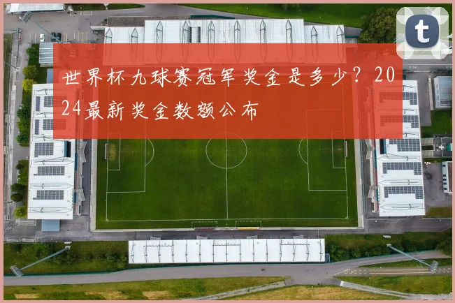 世界杯九球赛冠军奖金是多少？2024最新奖金数额公布