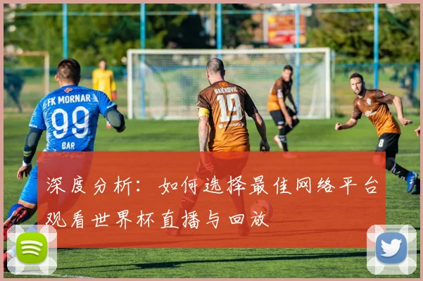 深度分析：如何选择最佳网络平台观看世界杯直播与回放