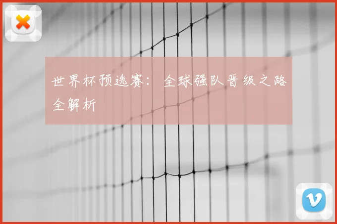 世界杯预选赛：全球强队晋级之路全解析