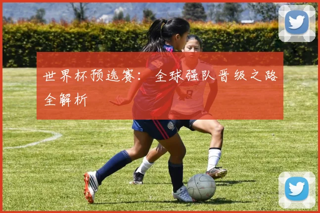 世界杯预选赛：全球强队晋级之路全解析