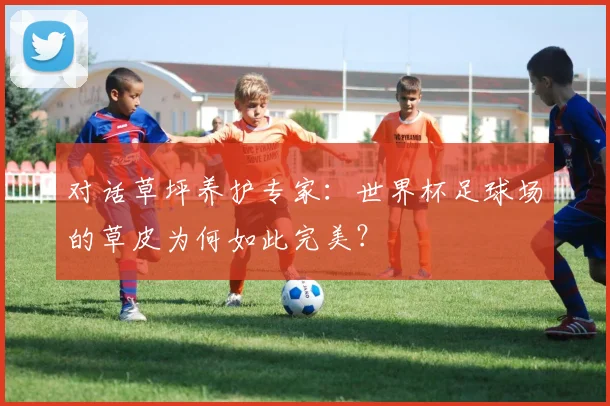 对话草坪养护专家:世界杯足球场的草皮为何如此完美?