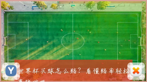 世界杯买球怎么赔？看懂赔率轻松赢钱攻略