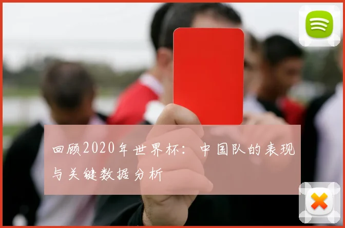 回顾2020年世界杯：中国队的表现与关键数据分析