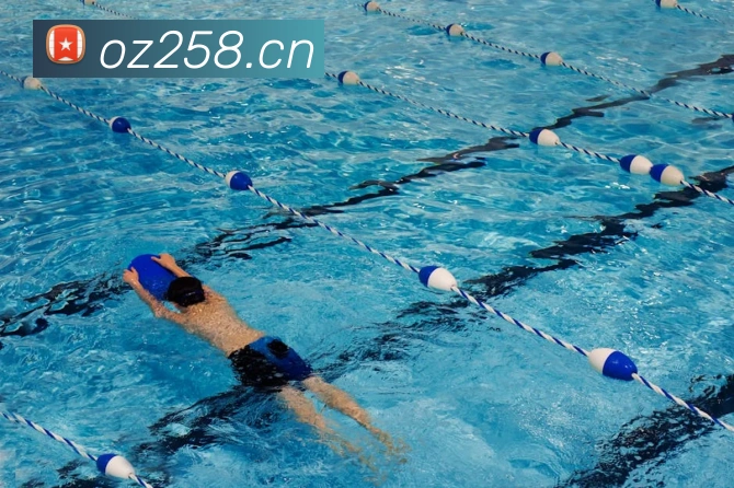 多媒体互动体验